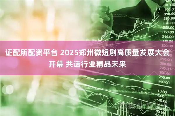 证配所配资平台 2025郑州微短剧高质量发展大会开幕 共话行业精品未来