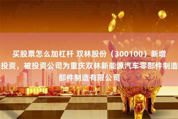 买股票怎么加杠杆 双林股份（300100）新增一起对外投资，被投资公司为重庆双林新能源汽车零部件制造有限公司
