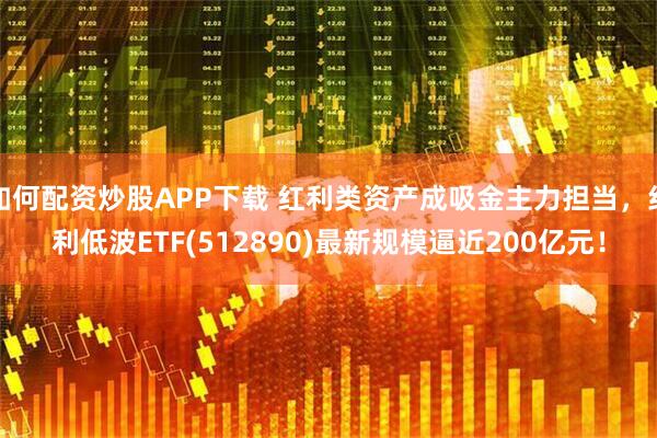 如何配资炒股APP下载 红利类资产成吸金主力担当，红利低波ETF(512890)最新规模逼近200亿元！