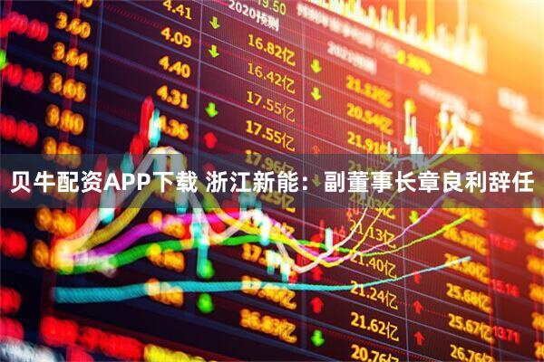 贝牛配资APP下载 浙江新能：副董事长章良利辞任